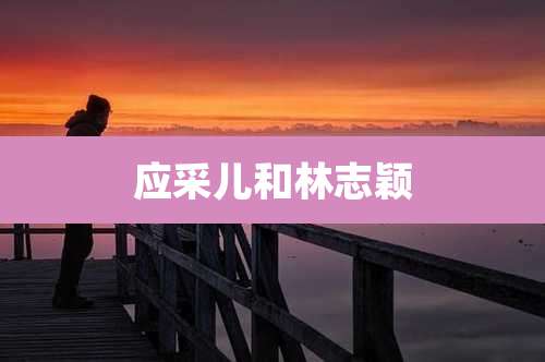 应采儿和林志颖