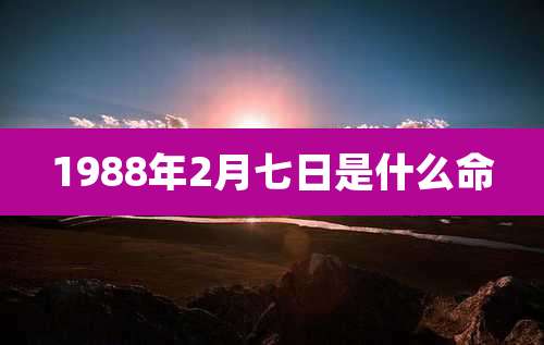 1988年2月七日是什么命