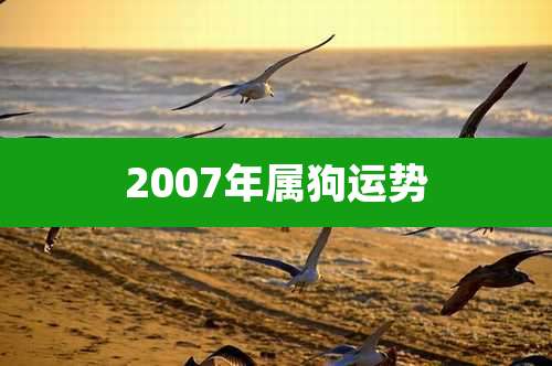 2007年属狗运势