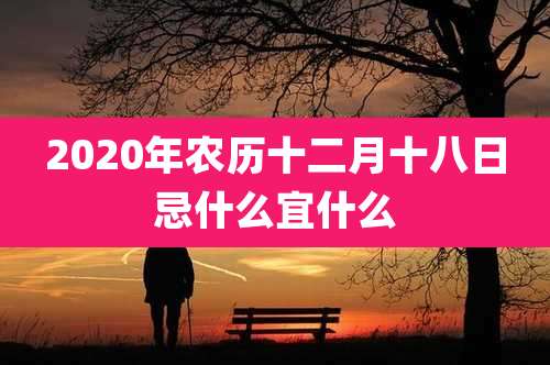 2020年农历十二月十八日忌什么宜什么