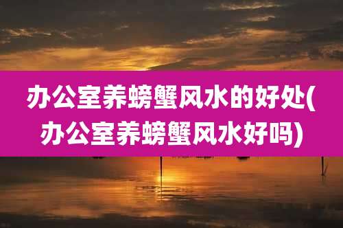 办公室养螃蟹风水的好处(办公室养螃蟹风水好吗)