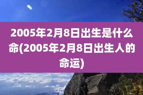 2005年2月8日出生是什么命(2005年2月8日出生人的命运)
