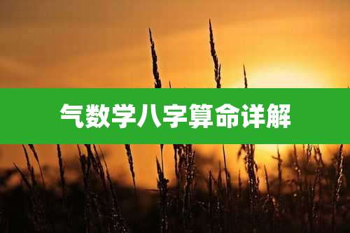 气数学八字算命详解