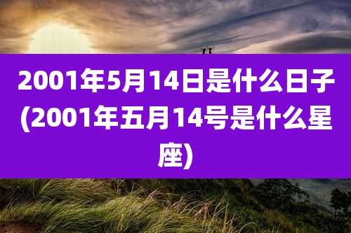 2001年5月14日是什么日子(2001年五月14号是什么星座)