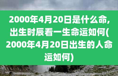 2000年4月20日是什么命,出生时辰看一生命运如何(2000年4月20日出生的人命运如何)