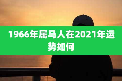 1966年属马人在2021年运势如何