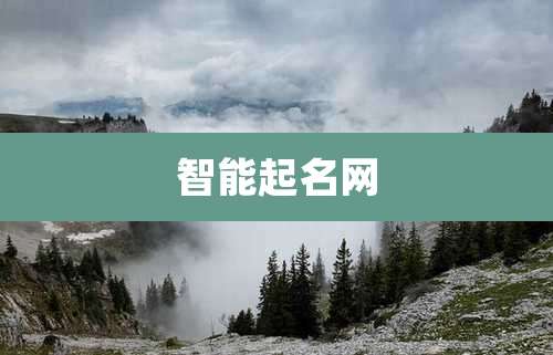 智能起名网