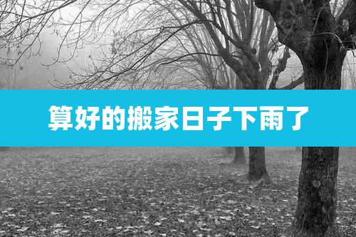 算好的搬家日子下雨了