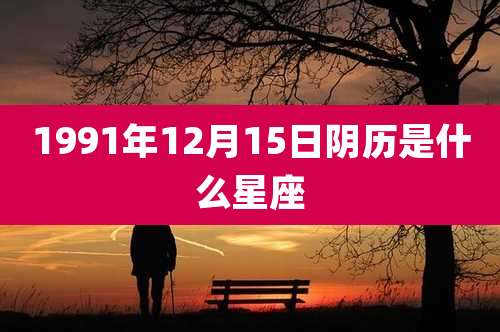 1991年12月15日阴历是什么星座