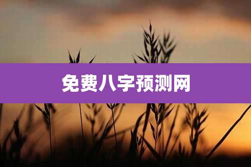 免费八字预测网