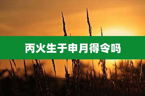 丙火生于申月得令吗