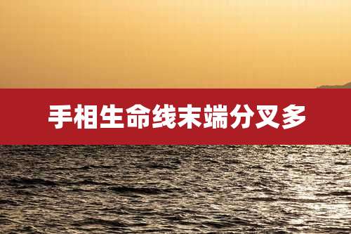 手相生命线末端分叉多
