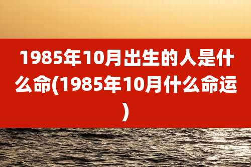1985年10月出生的人是什么命(1985年10月什么命运)