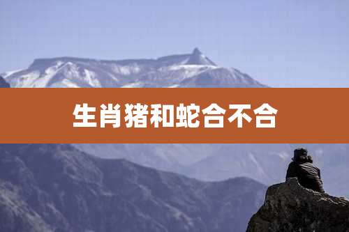 生肖猪和蛇合不合