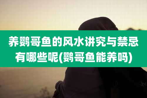 养鹦哥鱼的风水讲究与禁忌有哪些呢(鹦哥鱼能养吗)