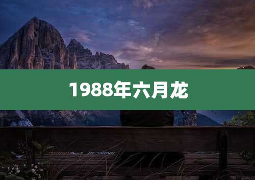 1988年六月龙