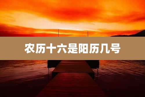 农历十六是阳历几号