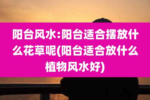 阳台风水:阳台适合摆放什么花草呢(阳台适合放什么植物风水好)