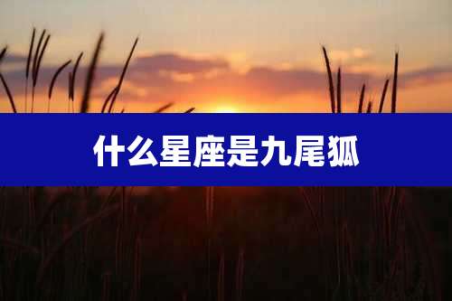 什么星座是九尾狐