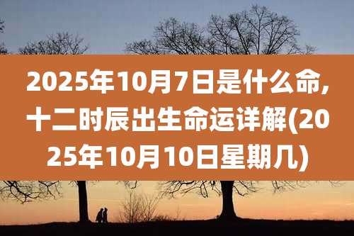 2025年10月7日是什么命,十二时辰出生命运详解(2025年10月10日星期几)