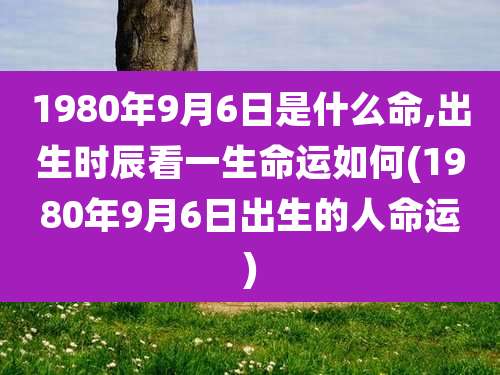 1980年9月6日是什么命,出生时辰看一生命运如何(1980年9月6日出生的人命运)