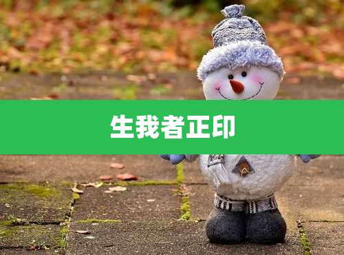 生我者正印