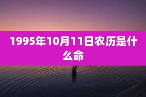 1995年10月11日农历是什么命
