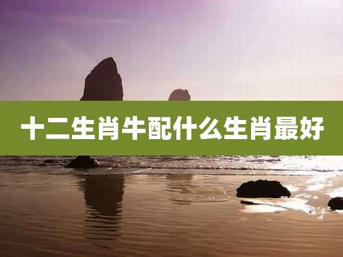 十二生肖牛配什么生肖最好
