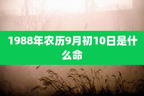 1988年农历9月初10日是什么命