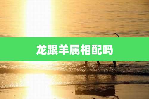 龙跟羊属相配吗