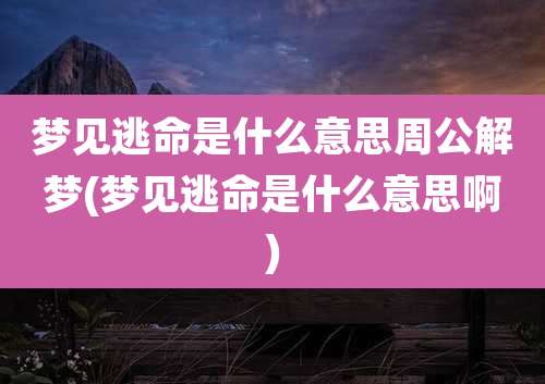 梦见逃命是什么意思周公解梦(梦见逃命是什么意思啊)