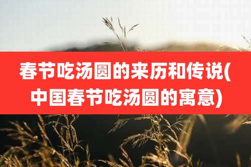 春节吃汤圆的来历和传说(中国春节吃汤圆的寓意)