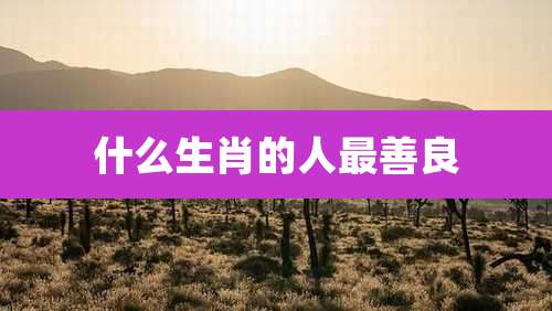 什么生肖的人最善良