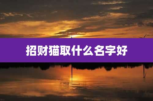 招财猫取什么名字好