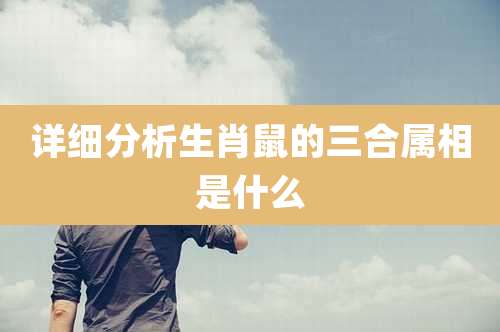 详细分析生肖鼠的三合属相是什么
