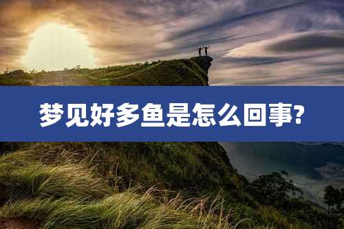 梦见好多鱼是怎么回事?