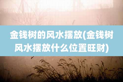 金钱树的风水摆放(金钱树风水摆放什么位置旺财)