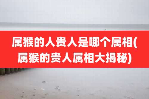 属猴的人贵人是哪个属相(属猴的贵人属相大揭秘)