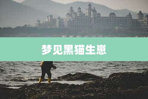 梦见黑猫生崽
