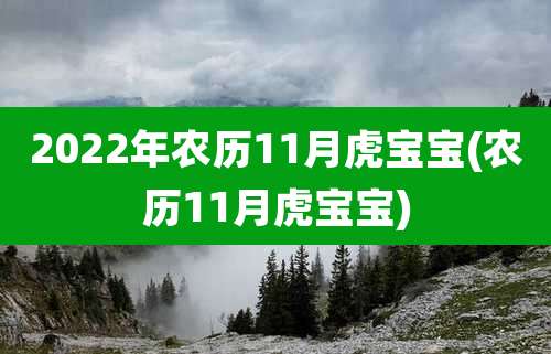 2022年农历11月虎宝宝(农历11月虎宝宝)