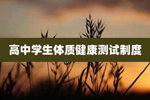 高中学生体质健康测试制度