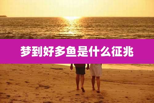梦到好多鱼是什么征兆