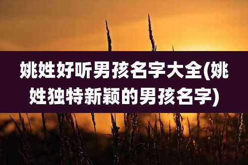 姚姓好听男孩名字大全(姚姓独特新颖的男孩名字)