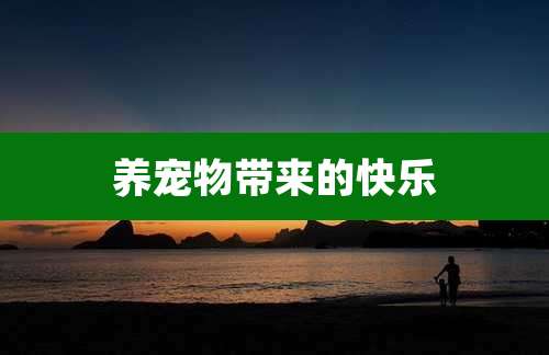 养宠物带来的快乐