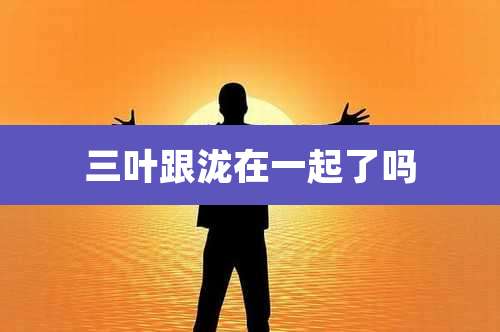 三叶跟泷在一起了吗