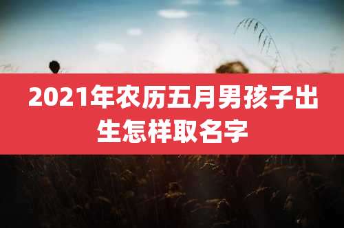 2021年农历五月男孩子出生怎样取名字