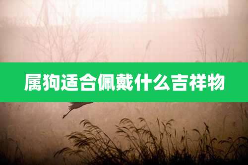 属狗适合佩戴什么吉祥物