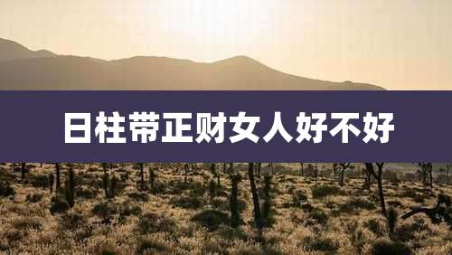 日柱带正财女人好不好
