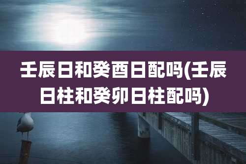 壬辰日和癸酉日配吗(壬辰日柱和癸卯日柱配吗)