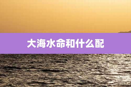 大海水命和什么配